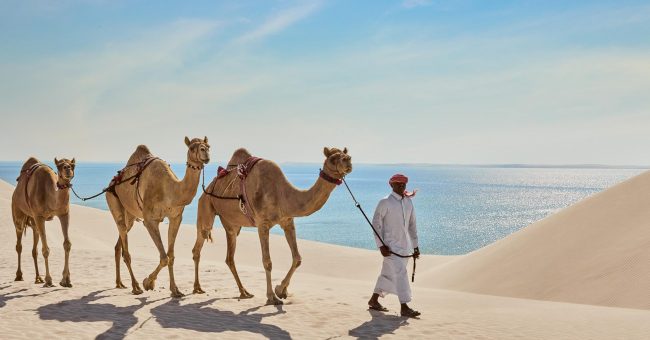 В Катар с детьми: море, дюны, музеи и очень вкусно