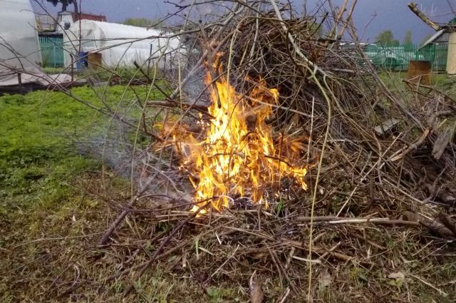 Можно ли жечь мусор на даче? | Помощь юриста | Дача