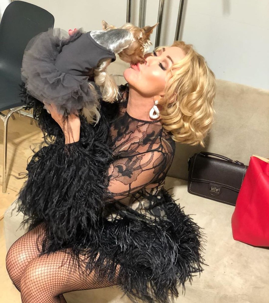 Жизнь животных: салоны красоты и роскошные гардеробные любимцев российских звезд