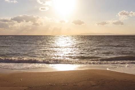 Роспотребнадзор: коронавирус не может размножаться в морской воде — #Коронавирус