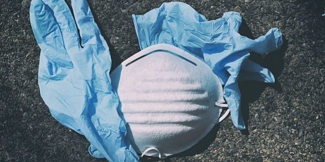 Пыльца может предсказать окончание сезона COVID-19 — Известия | Все о коронавирусе | Здоровье