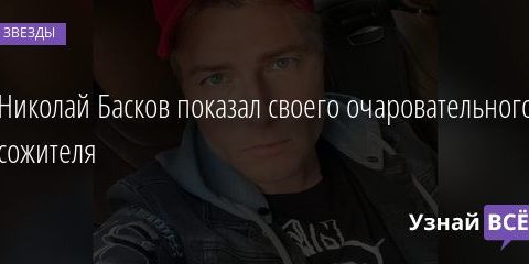Николай Басков показал своего очаровательного сожителя 01.08.2020