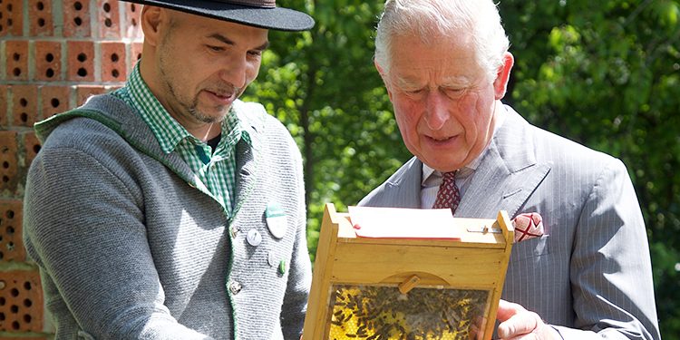 Принц Чарльз продает мед по королевской цене, HELLO! Russia