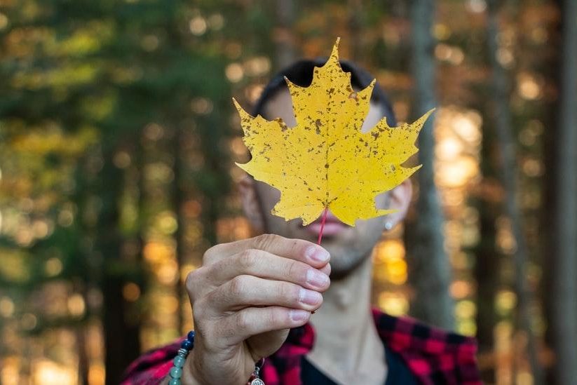 Калориям бой: 4 активности в выходной день для вас и вашего мужчины — Осенняя талия