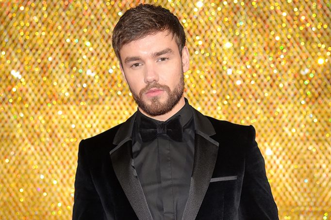 Лиам Пейн построил в своем саду копию хижины Хагрида из «Гарри Поттера»: фото, HELLO! Russia