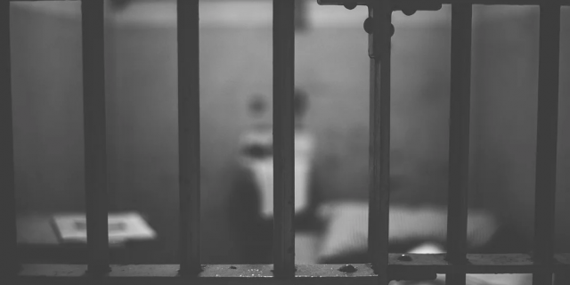 Арестованный в США россиянин не признал вину в киберпреступлениях | Право | Общество