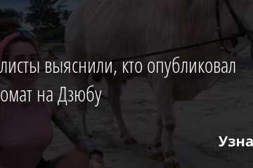 Журналисты выяснили, кто опубликовал компромат на Дзюбу 10.11.2020