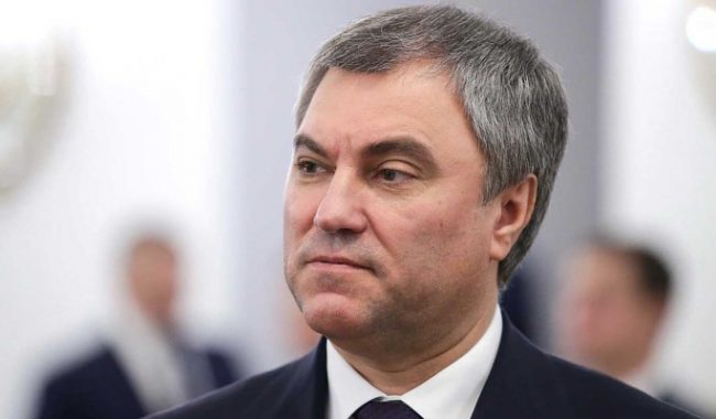 Володин призвал не спешить при рассмотрении поправок об изъятии детей из семьи :: Общество :: Дни.ру