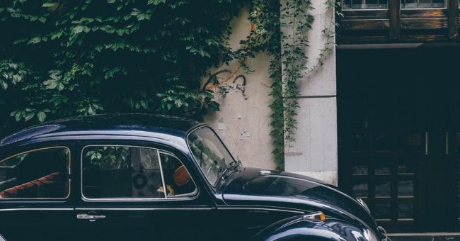 Чем дальше в лес: обустраиваем парковку на дачном участке — Автоледи