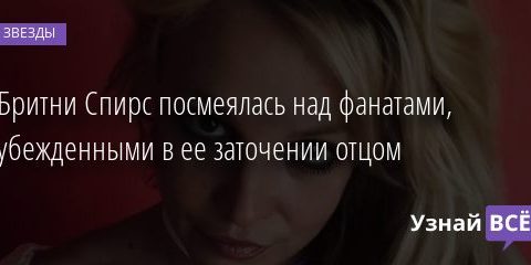 Бритни Спирс посмеялась над фанатами, убежденными в ее заточении отцом 14.12.2020
