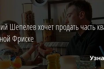Дмитрий Шепелев хочет продать часть квартиры покойной Фриске 13.01.2021