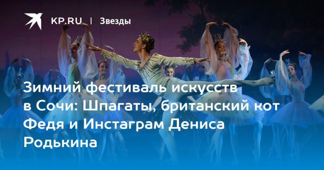 Шпагаты, британский кот Федя и Инстаграм Дениса Родькина