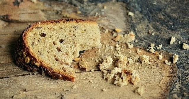 156 рублей в день на троих плюс кошка: как мать двоих детей выживала на пособие по безработице