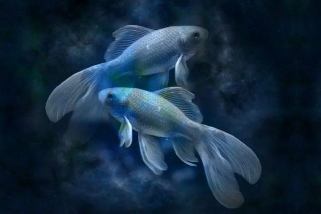 Главный крест, который Рыбы несут по жизни