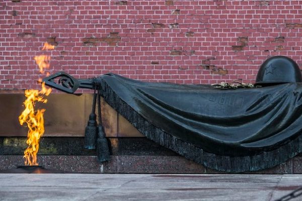 Парламентарии возложили цветы к Могиле Неизвестного Солдата :: Общество :: Дни.ру