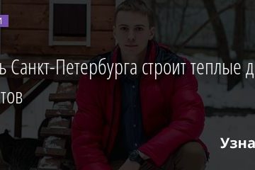 Житель Санкт-Петербурга строит теплые домики для котов 01.03.2021