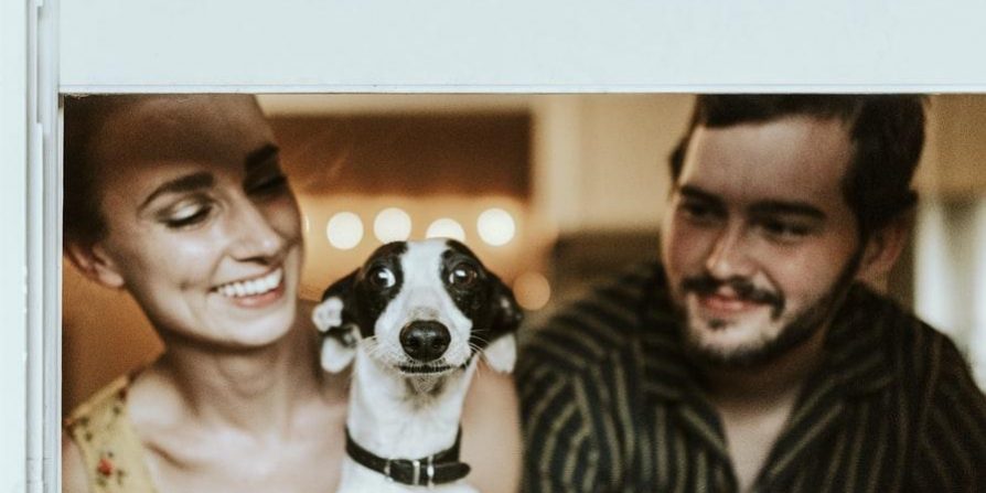 Пушистый тест: определяем темперамент мужчины по его питомцу — Психология