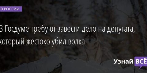 В Госдуме требуют завести дело на депутата, который жестоко убил волка 28.04.2021