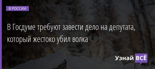 В Госдуме требуют завести дело на депутата, который жестоко убил волка 28.04.2021