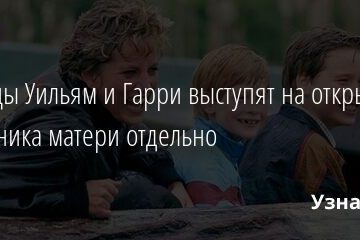 Принцы Уильям и Гарри выступят на открытии памятника матери отдельно 10.05.2021