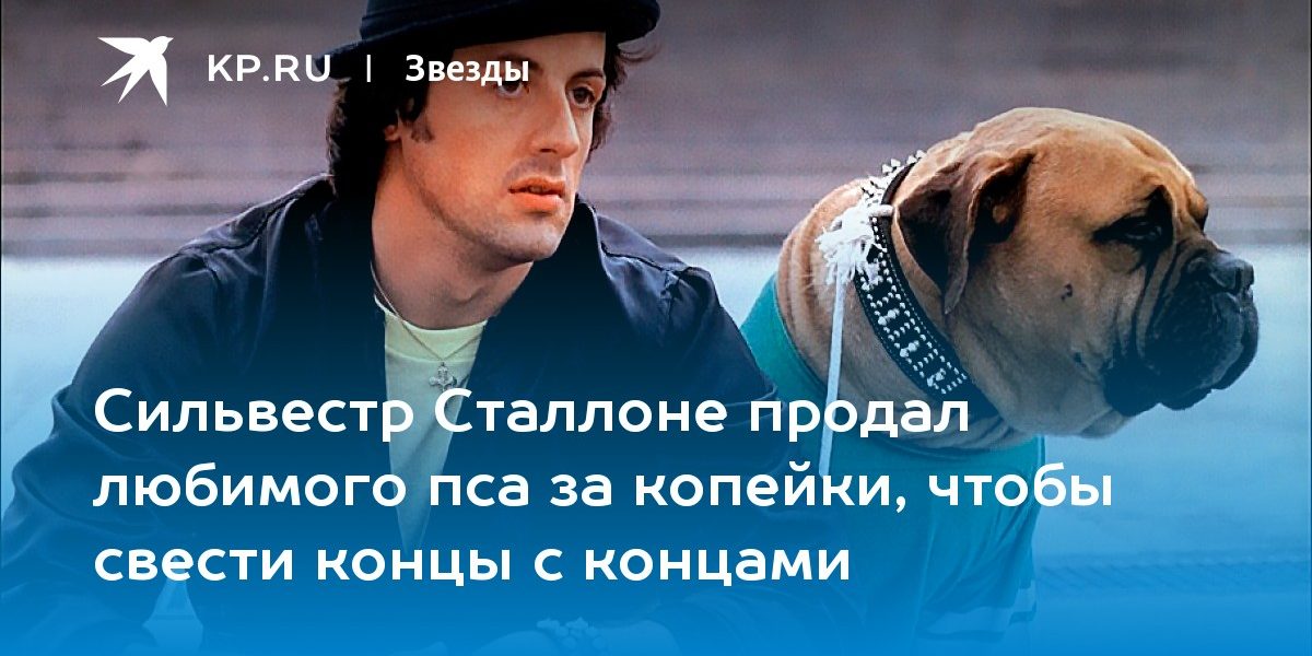 Сильвестр Сталлоне продал любимого пса за копейки, чтобы свести концы с концами
