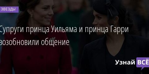 Супруги принца Уильяма и принца Гарри возобновили общение 11.07.2021 | Звезды, шоу-бизнес