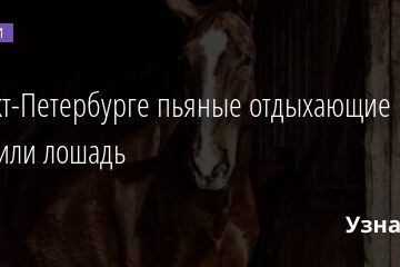 В Санкт-Петербурге пьяные отдыхающие не поделили лошадь 18.08.2021 | Новости в России