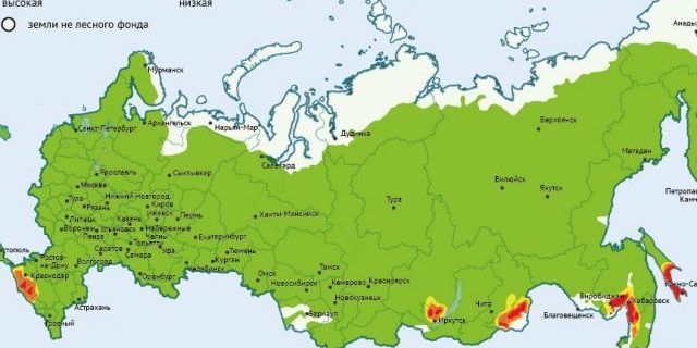 Угроза лесных пожаров в октябре 2021 года. Инфографика | Природа | Общество