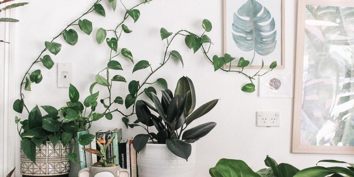 Драпировка и искусственные цветы: декор, который «убьет» ваш интерьер — Дом