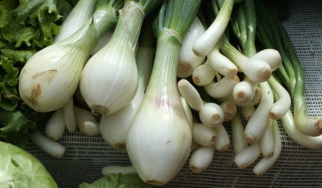 что нельзя делать 31 октября – приметы, обычаи, поверья :: Общество :: Дни.ру