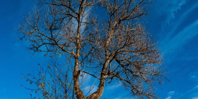 сонник, толкование сна, девушке, значение сна :: Сонник :: Дни.ру