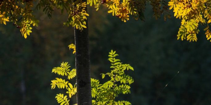 традиции и приметы 24 октября, сегодня, 2021, церковный праздник, православие, рпц, церковный календарь, что нельзя делать :: Общество :: Дни.ру