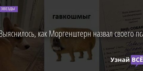 Выяснилось, как Моргенштерн назвал своего пса 23.10.2021 | Звезды, шоу-бизнес