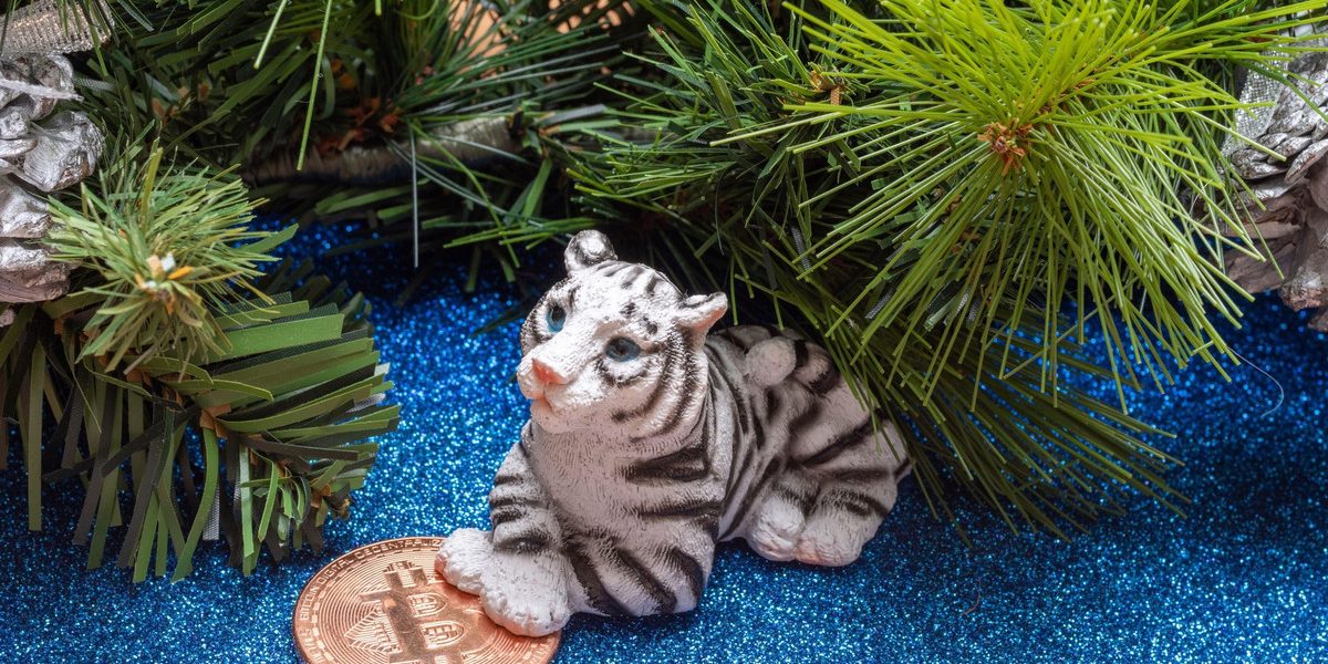 Советы дизайнера: как обновить свой дом в год голубого водяного Тигра