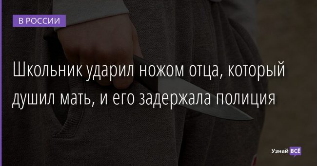 Школьник ударил ножом отца, который душил мать, и его задержала полиция 27.12.2021 | Новости в России
