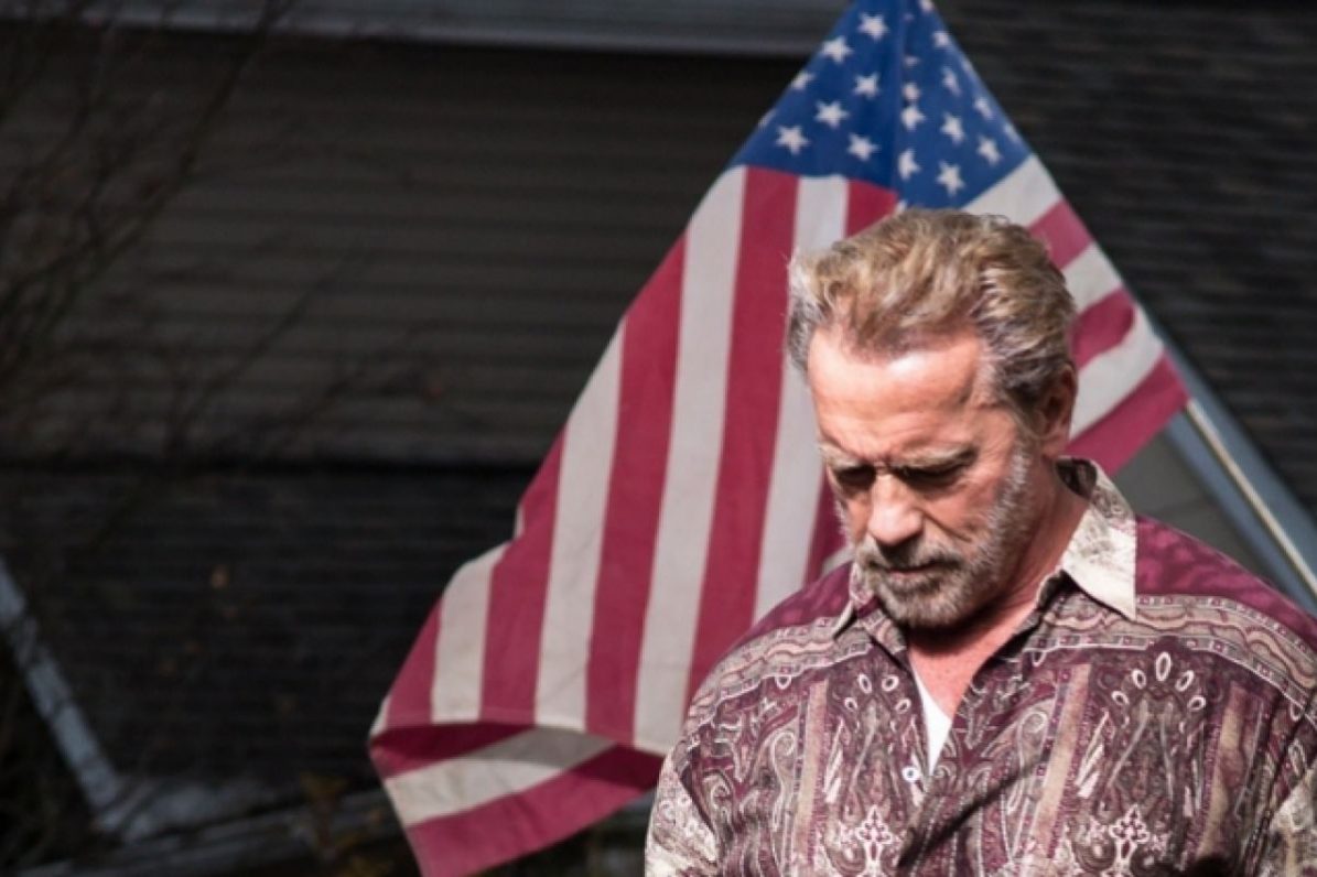 Арнольд Шварценеггер попал в ДТП в Калифорнии — СМИ | Шоу-бизнес | Культура