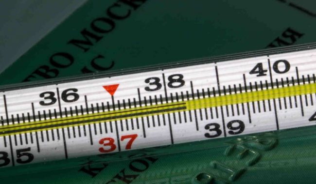 Терапевт Романенко предупредила об опасности жаропонижающих при омикрон-штамме COVID-19, симптомы ковид, последние новости, подробности :: Коронавирус :: Дни.ру