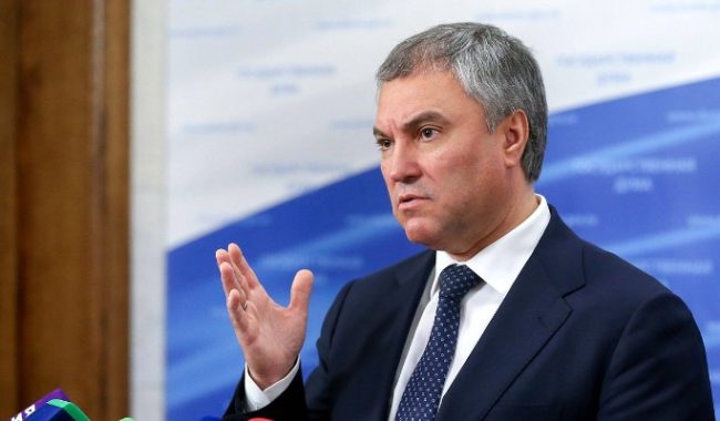 Володин запустил опрос о единых стандартах продленки :: Общество :: Дни.ру
