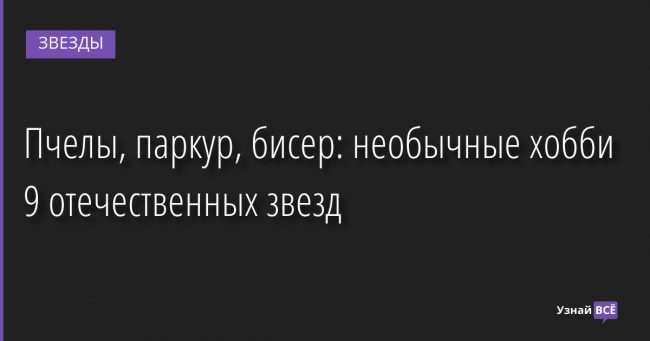 Пчелы, паркур, бисер: необычные хобби 9 отечественных звезд 04.04.2022 | Звезды, шоу-бизнес
