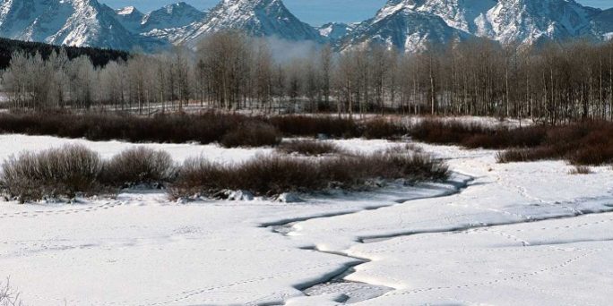 Православный праздник 3 апреля, приметы, традиции, что нельзя делать, Фомин день, 2022 :: Общество :: Дни.ру