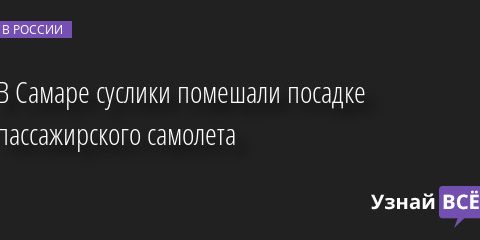 В Самаре суслики помешали посадке пассажирского самолета 29.04.2022 | Новости в России