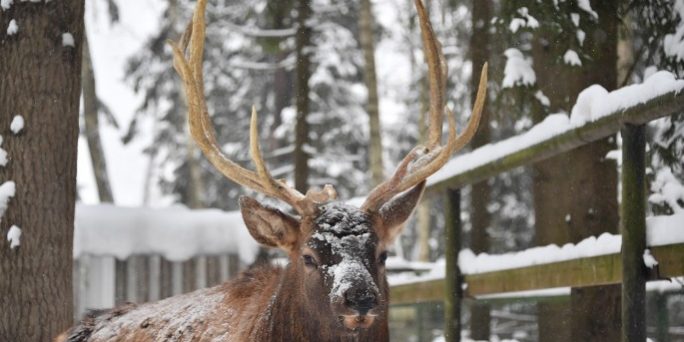 подробности, все новости :: Видео :: Дни.ру