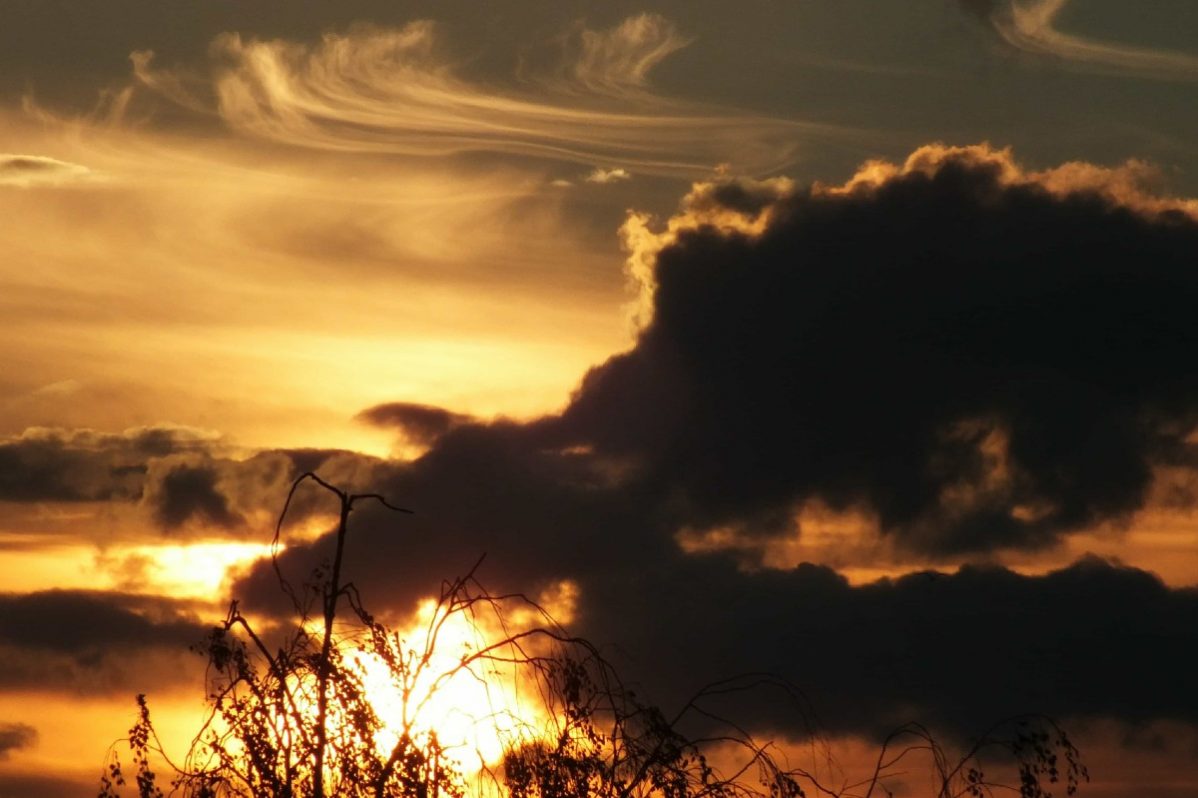 что нельзя делать 16 июня по церковному календарю: традиции, запреты, народный календарь, 2022, православный праздник :: Общество :: Дни.ру