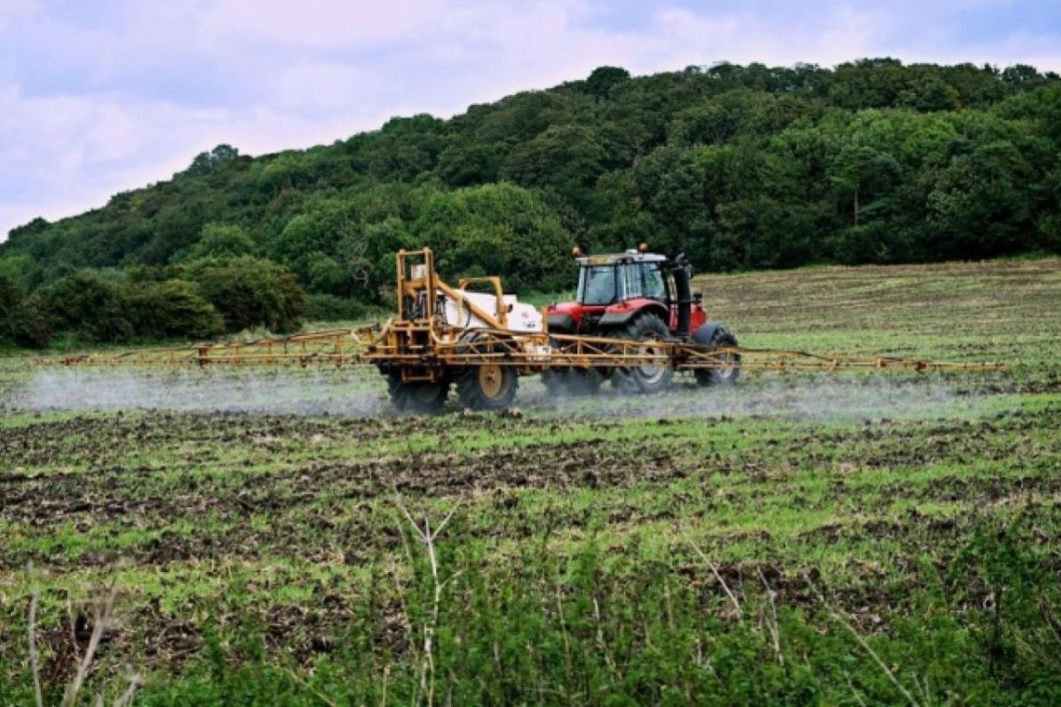 В США решили наложить пошлины на азотные удобрения из РФ | Экономика | Деньги