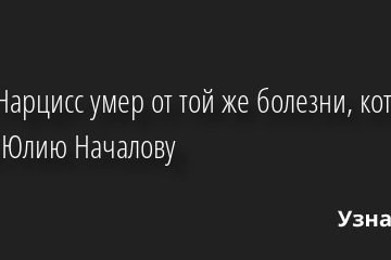 Пьер Нарцисс умер от той же болезни, которая убила Юлию Началову 22.06.2022 | Звезды, шоу-бизнес