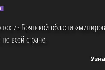 Подросток из Брянской области «минировал» школы по всей стране 22.06.2022 | Новости в России