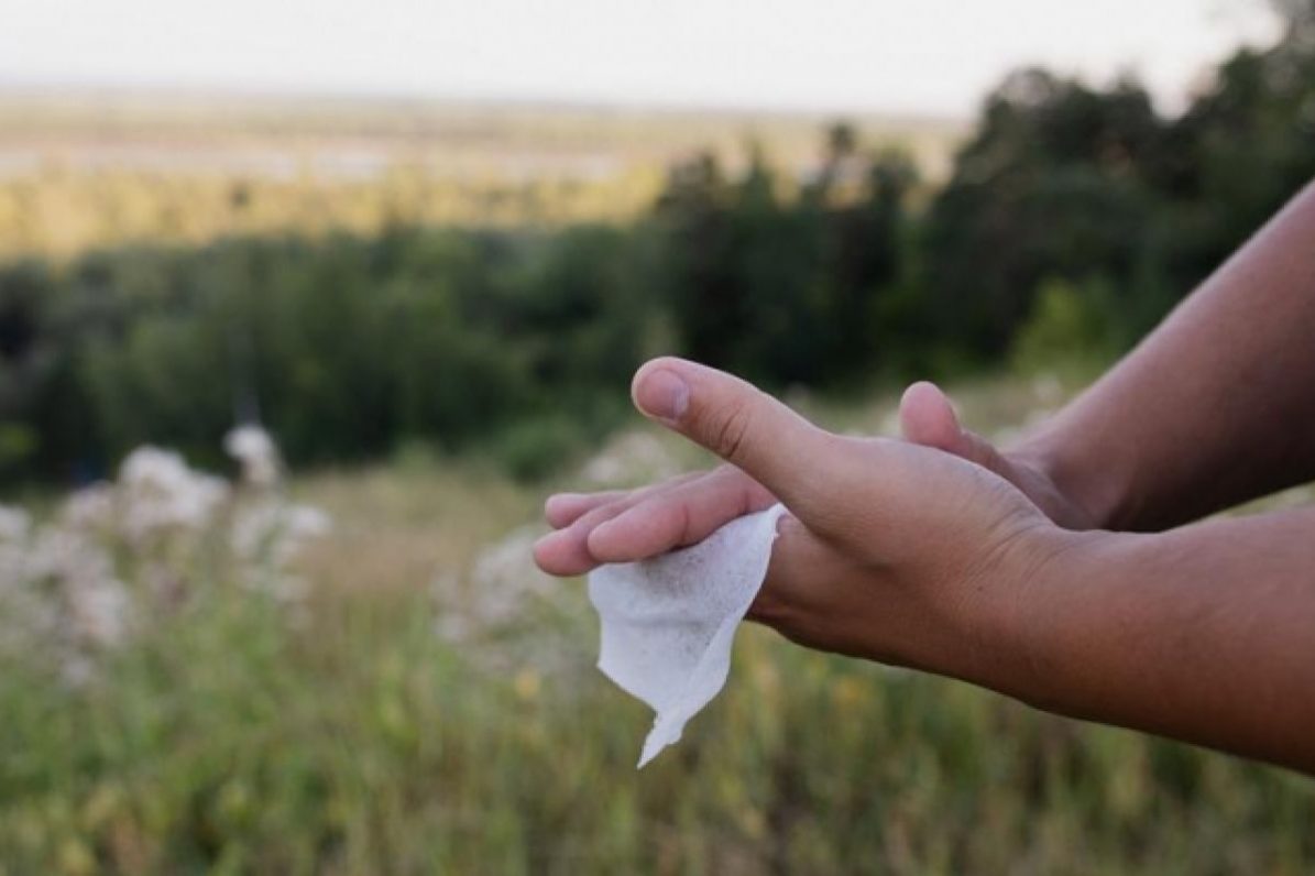 В Лондоне на Темзе образовался «остров» из влажных салфеток | Природа | Общество