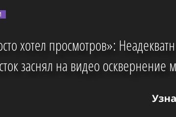 «Я просто хотел просмотров»: Неадекватный подросток заснял на видео осквернение могилы 28.07.2022 | Новости в России