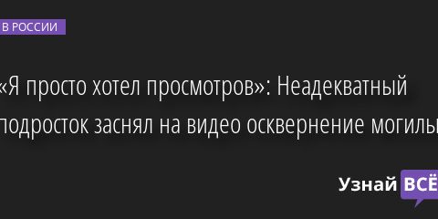 «Я просто хотел просмотров»: Неадекватный подросток заснял на видео осквернение могилы 28.07.2022 | Новости в России