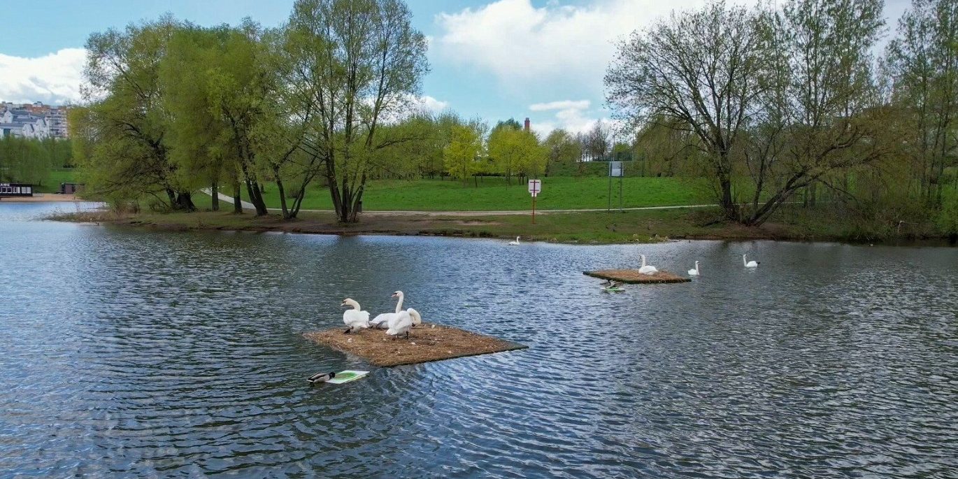 Собянин рассказал о восстановлении 886 парков и зеленых территорий за 10 лет :: Общество :: Дни.ру